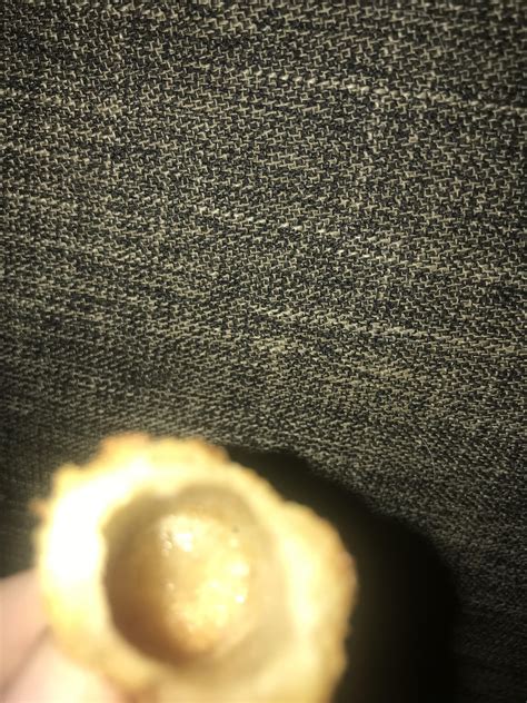 Fuck Sonic R Do JftinytowerDude