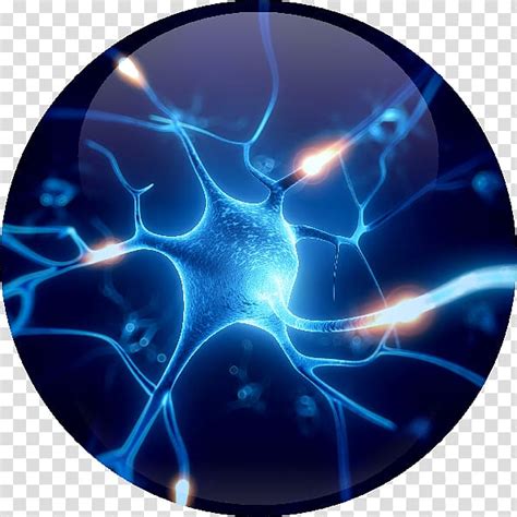 Brain Neuron Clip Art