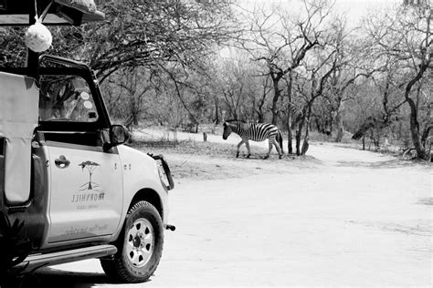 2024 5 Day Discover The Kruger Park