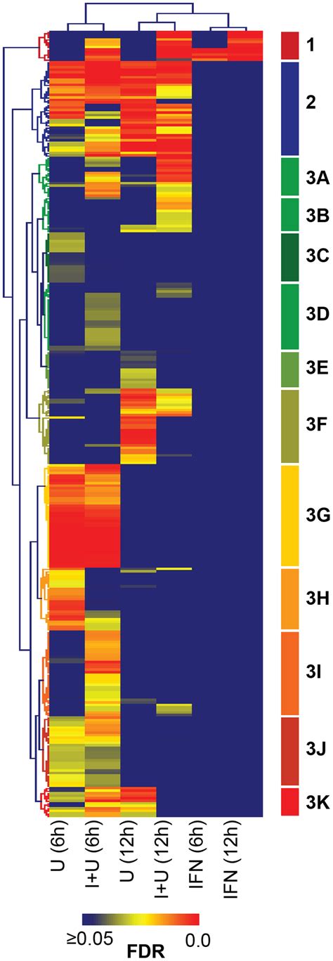 Gene Ontology Go Analysis Of Genes Differentially Expressed By Ifn Download Scientific