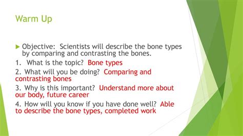 Warm Up Objective Scientists Will Describe The Bone Types By Comparing