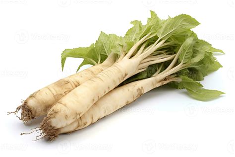 horseradish isolated  white background ai generated  stock