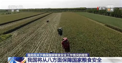 积极推进藏粮于技 我国将从八方面保障国家粮食安全 荆楚网 湖北日报网