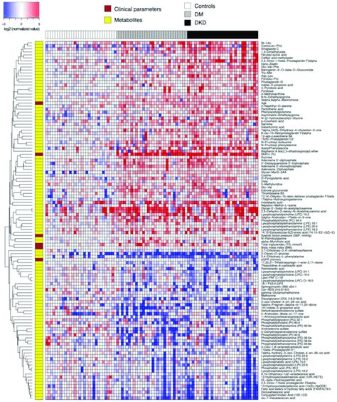 Heatmap Of Relative Abundance Values Log Transformed Base 2 Of Download Scientific Diagram