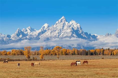 17 Best Things To Do In Jackson Hole Wy Map Tips Artofit