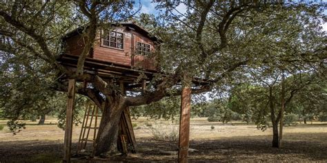 How to Build a Treehouse: Step-by-Step Guide — RUGD.