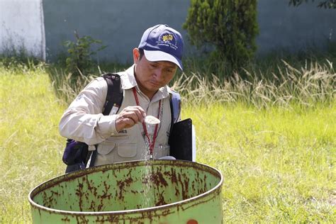 Aumenta a 34 el número de fallecidos por dengue en el país en 2023 La