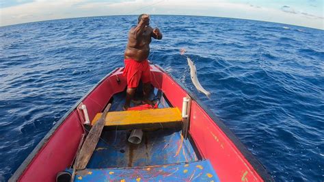 Barracuda On The Line While Tuna Fishing Bonito Catch N Cook Youtube