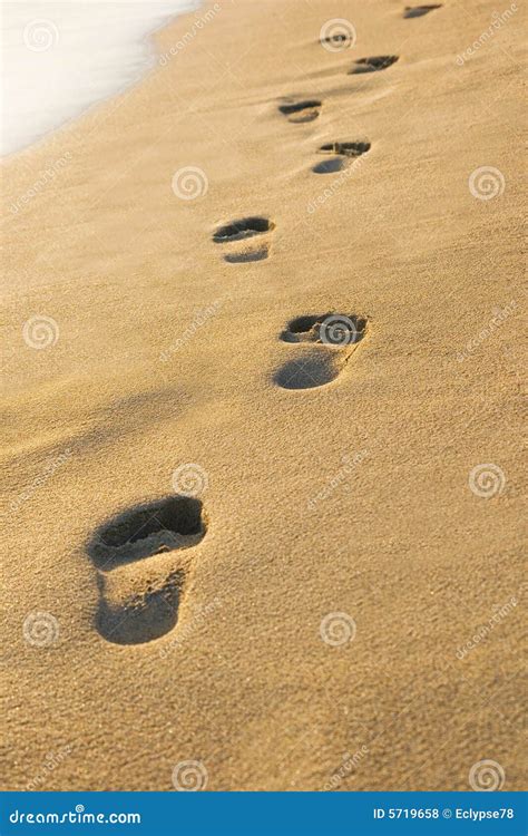 Passos Na Areia Foto De Stock Imagem De Caminhada Etapa 5719658