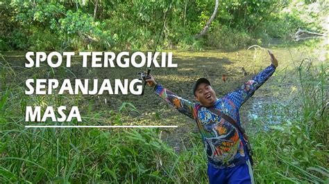 Spot Gabus Andalan Idaman Banyak Angler Casting Ikan Gabus Di Rawa