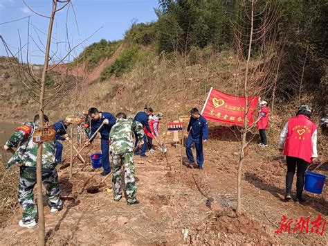 龙山开展军地共建“双拥林”植树活动 湘西 新湖南