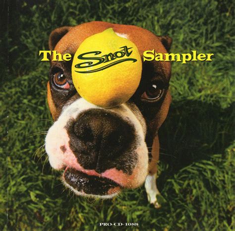 Snot - The Snot Sampler (1997, CD) | Discogs