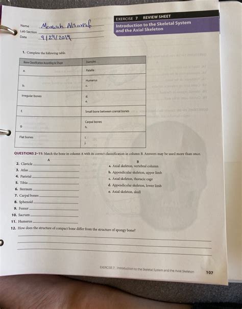 Solved Name Date Lab Section EXERCISE 7 REVIEW SHEET Chegg