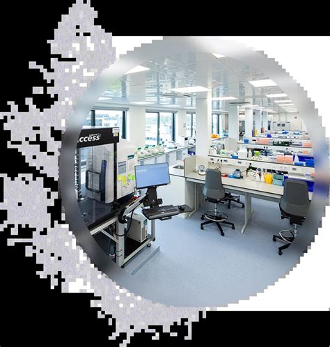 Rna Sequencing Services Single Cell Discoveries