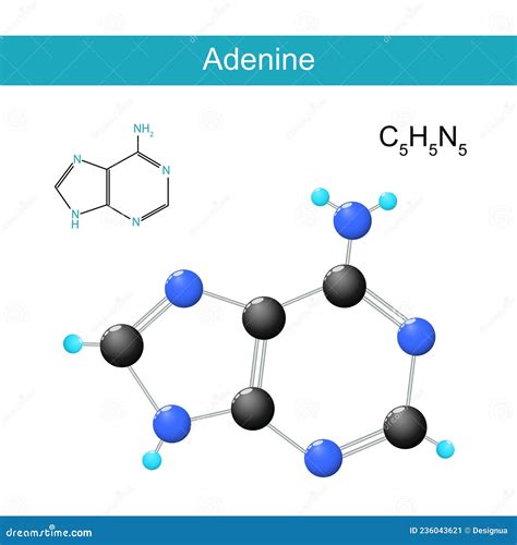 Adenine Molecular Structure Isolated On Grey Royalty-Free Cartoon | CartoonDealer.com #92006705