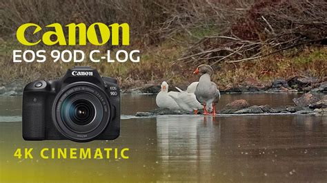 Canon Eos 90d C Log 4k Cinematic Youtube