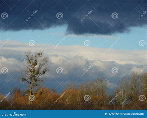 Ambiente Del Ecosistema De Nubes Del Cielo Imagen Imagen