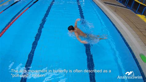 Butterfly swimming