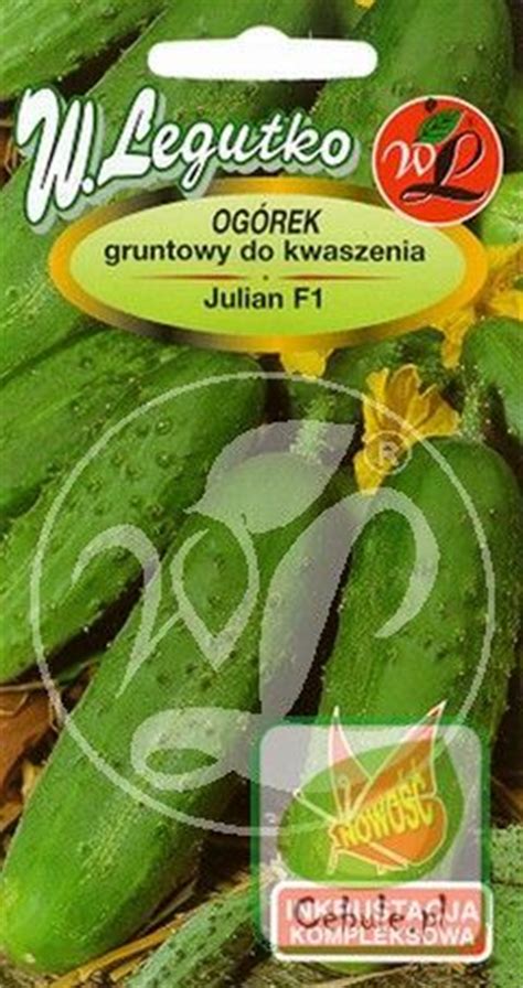 Nasiona Ogórek Gruntowy Kwaszeniak Julian F1 Sklep Cebule pl