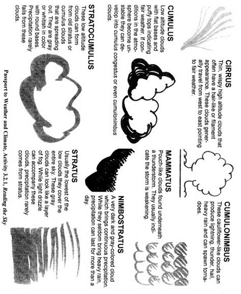 15 Types Of Precipitation Worksheet / worksheeto.com