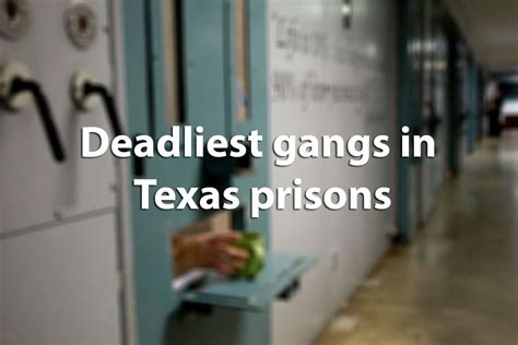 The Dangerous Dozen Gangs Considered The Greatest Threat To The State