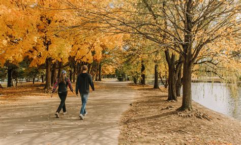 Centennial Park Conservancy | Sustaining Where Nashville Grows