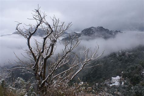 Mussoorie Winter 2010 Photograph by Padamvir Singh