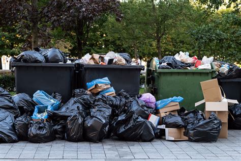 Garbage Removal Vs Dumpster Rental Which One Is Right For You Junk