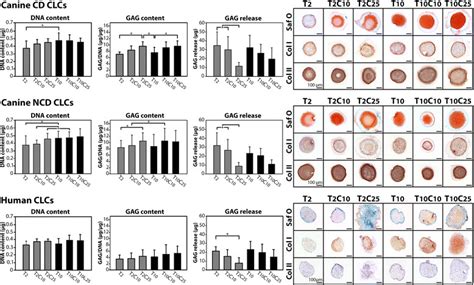 The Doseresponse Effect Of Caveolin 1 On Canine And Human