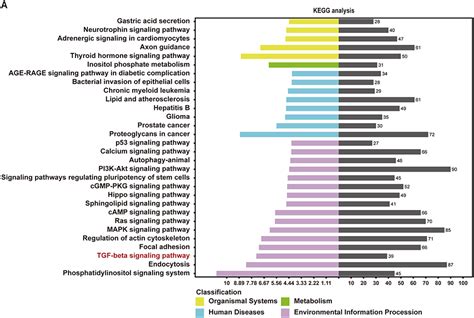 Ischemic Preconditioning Induced Serum Exosomal Mir A P Improved P