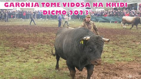 GARONJA Tomo Vidoš BRIZAN Ivan Muselin DICMO 2023 YouTube