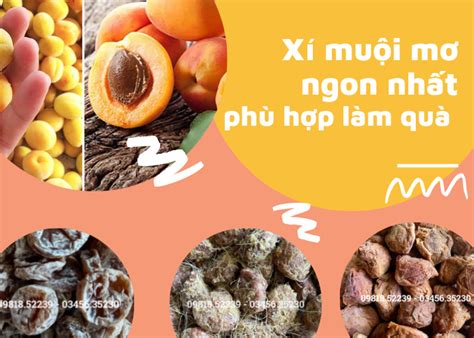 Blog chia sẻ - Ô mai Gia Lợi