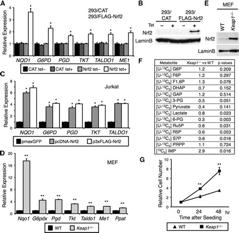 Cytoprotection | Semantic Scholar