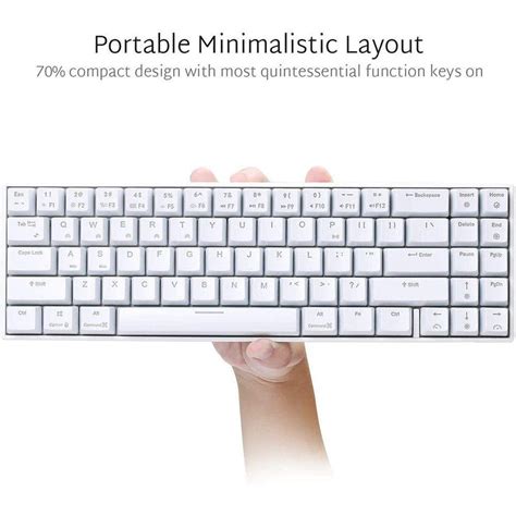 ROYAL KLUDGE RK71 TRI-MODE RGB 71 KEYS HOT SWAPPABLE MECHANICAL ...