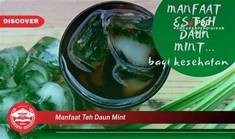 Banyak Yang Belum Tahu Inilah 30 Manfaat Teh Daun Mint Yang Wajib