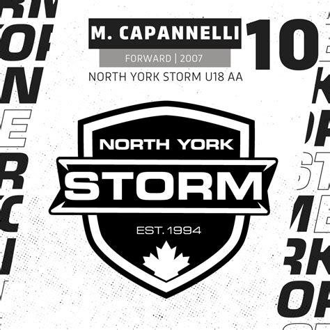 North York Storm Girls Hockey League : Website by RAMP InterActive