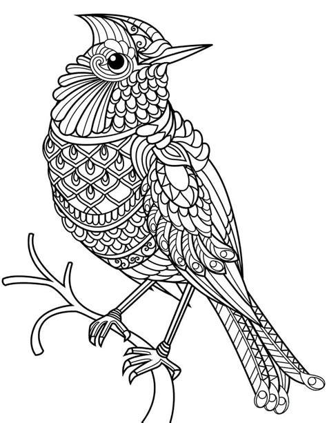 Målarbild Kardinal Zentangle Skiv ut gratis på malarbilder se