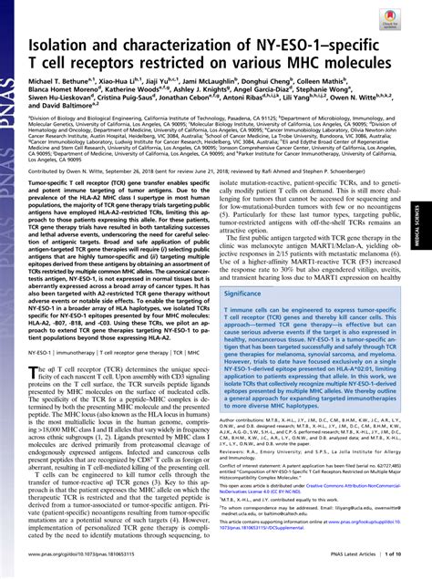 PDF Isolation And Characterization Of NY ESO 1specific T Cell