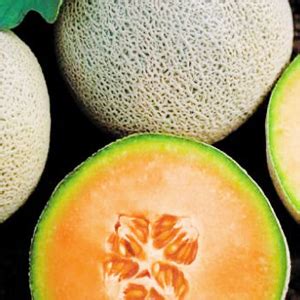 Melón Calameño un TU BUEN SABOR