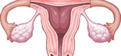 Patogenesi Del Carcinoma Della Cervice Uterina La Stampa