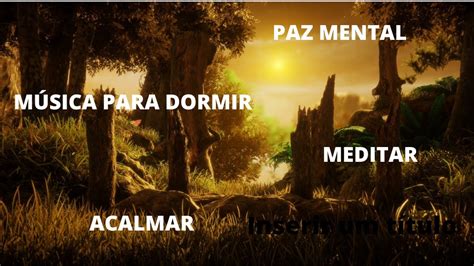 Músicas para meditar relaxar focar estudar trabalhar concentrar