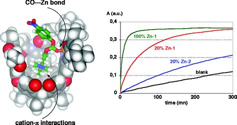 Functional Cavitands Chemical Reactivity In Structured Environments Pnas