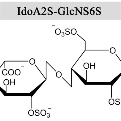 The Structures And Glycosidic Bond Conformations Of β D Mannuronic Acid Download Scientific