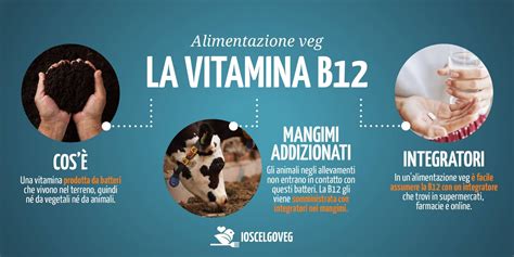 Vitamina B A Cosa Serve Come E Perch Integrarla