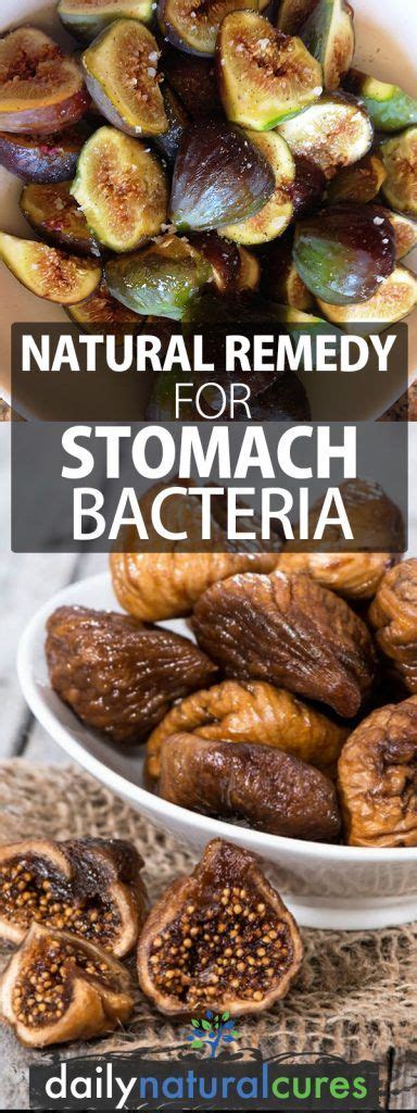 Natural Remedy For Stomach Bacteria Stomach Bacteria Healing Food