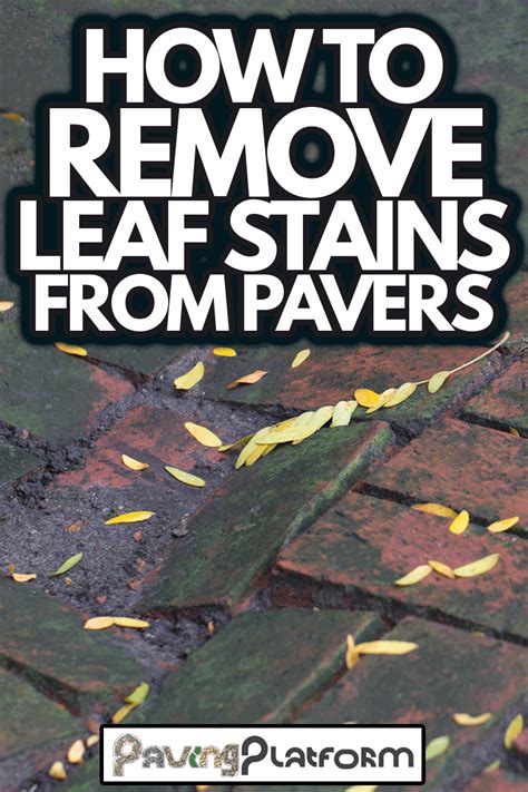 Removing Leaf Stains From Pavers