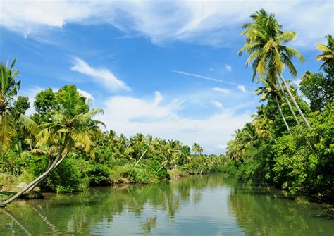 Premiers pas en Inde du Sud - Asie Online