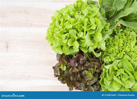 The Group Of Hydroponic Vegetables Isolated On White Background Green