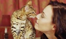 Top 5 Cat Allergy Symptoms | HowStuffWorks