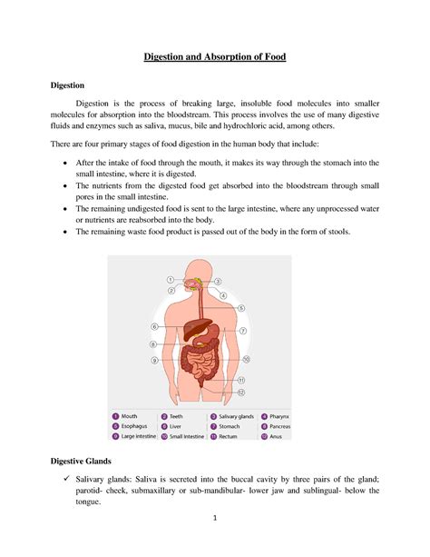 Digestion and absorption - This process involves the use of many digestive fluids and enzymes ...